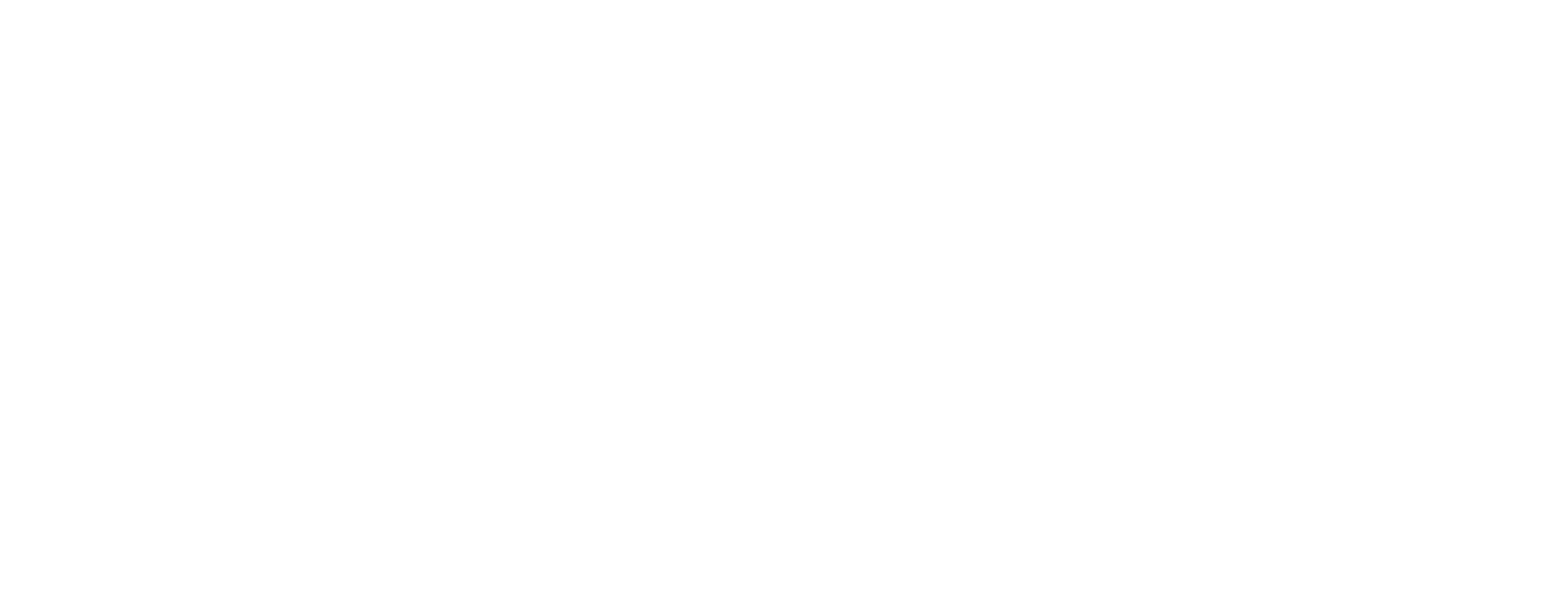 Logo texto Tane Solutions